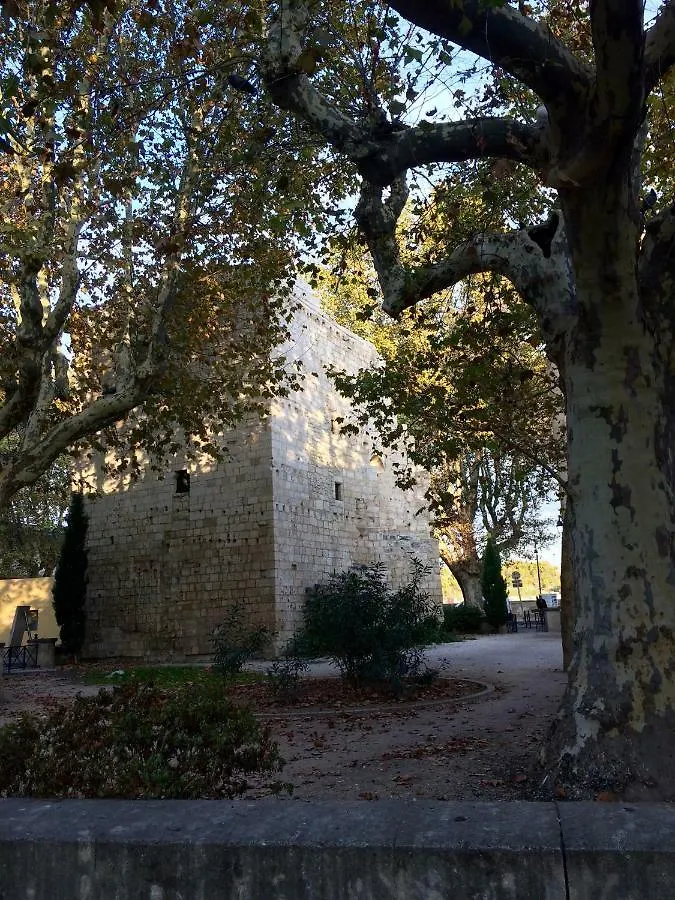 La Maison De Lara Villa Arles